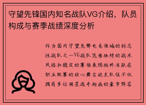 守望先锋国内知名战队VG介绍，队员构成与赛季战绩深度分析